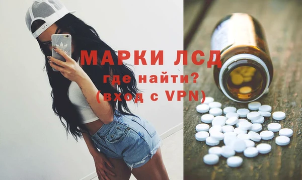 ПСИЛОЦИБИНОВЫЕ ГРИБЫ Баксан